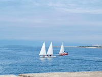 セーリング体験会